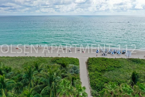 Olsen On the Beach image 15
