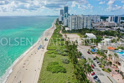 Olsen On the Beach image 6